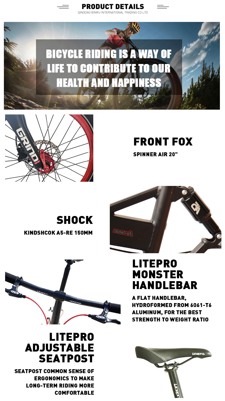 20-Inch Folding Bike with 9-Speed and Disc Brake 's Top-Performing Lightweight Bike