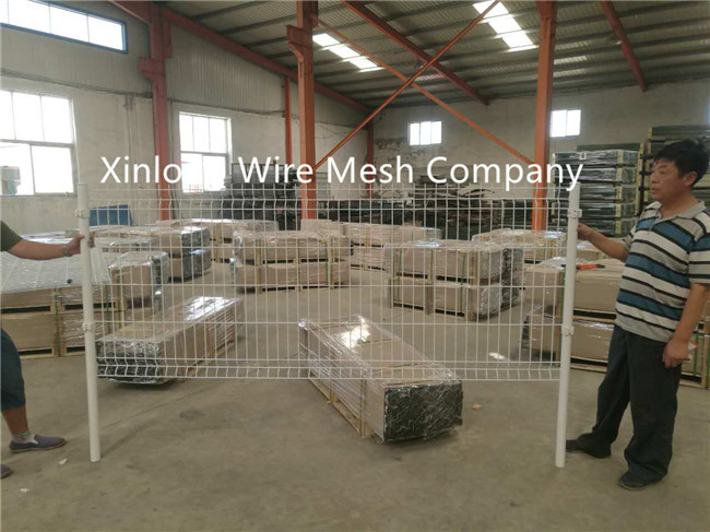Powders Sprayed Coating Galvanized Welded Wire Mesh Fence for Sale