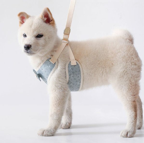 good cat harness