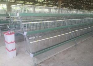 Buy cheap Popular Chicken Egg Layer Cage , Battery Cage System For Battery Chicken product