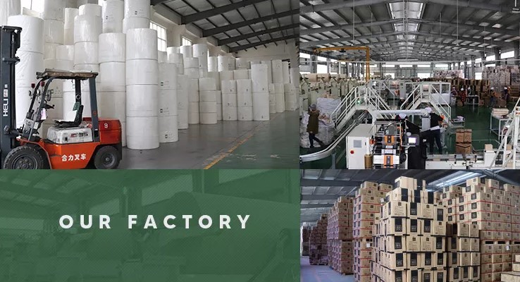 170gsm To 280gsm PE Coating Paper Cup Raw Material Customized
