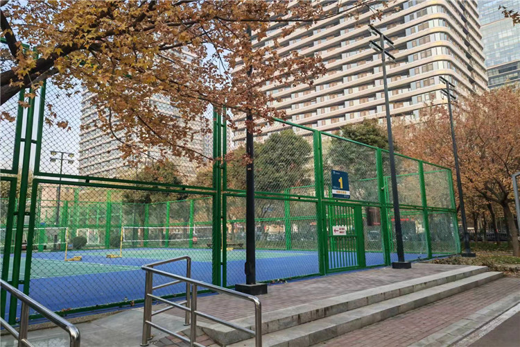 Hot Sales Metal Chain Link Fencing & Chain Link Gates With Cheaper Price