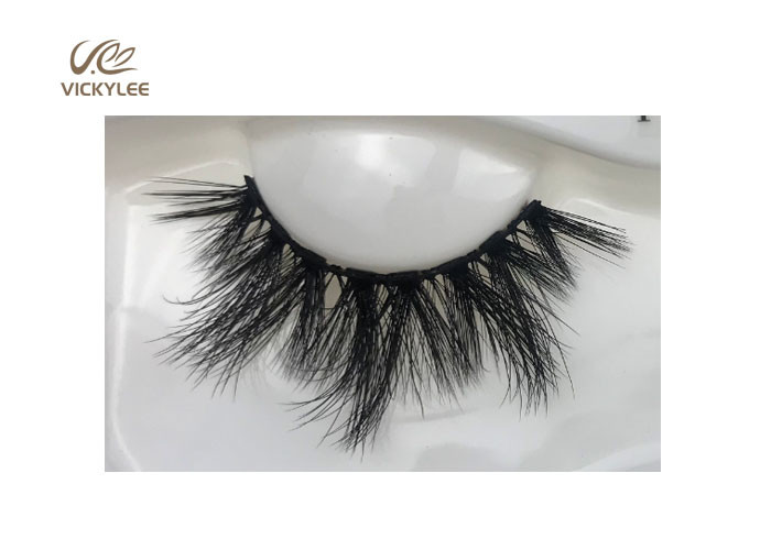 Full Strips Cotton 19mm Mink Volume Eyelash Extensions