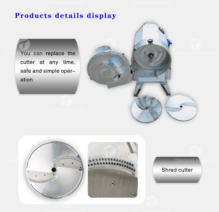 SS Slender No Sticky Edges Vegetable Processing Machine Tengsheng