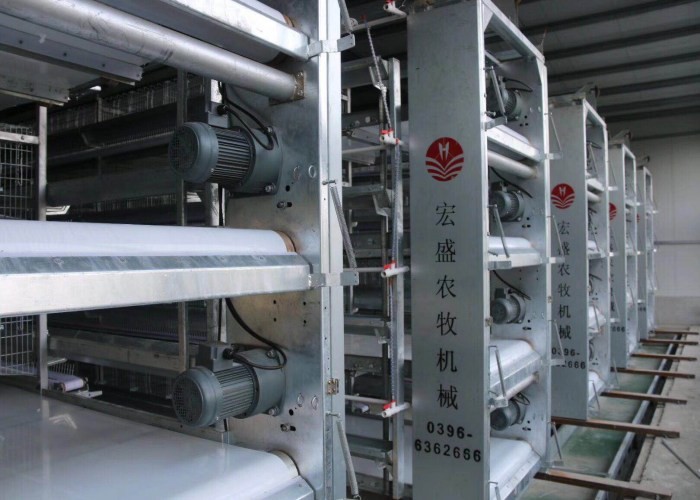 Custom Automatic Manure Removal System A Type Poultry Farm Machine Long Service Life