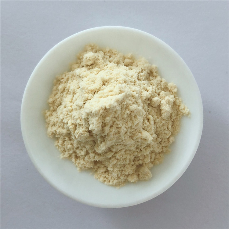 Anti-aging Supplement American Ginseng Price