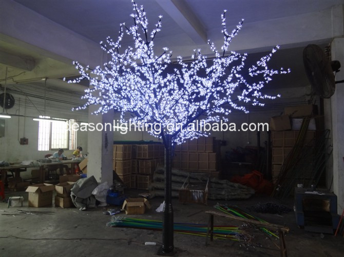psb (19)(1).jpg