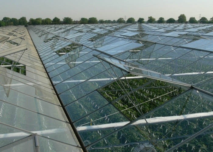 Large Prefabricated Outdoor And Indoor Backyard Glass Greenhouse For Flower Growing
