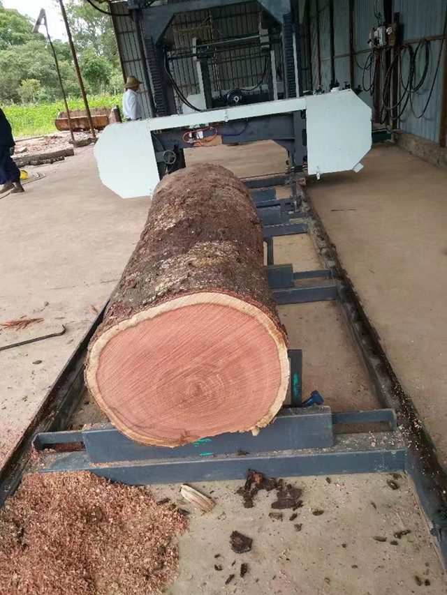 600mm Portable Sawmill Machine 22HP Mobile Timber Milling Machine