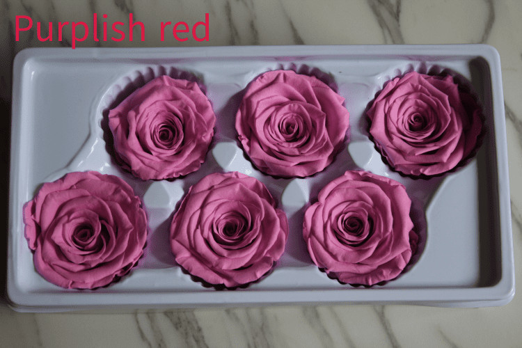 beautiful preserved rose flower A grade stabilized rose preserved long lasting eternal rose 4-5cm