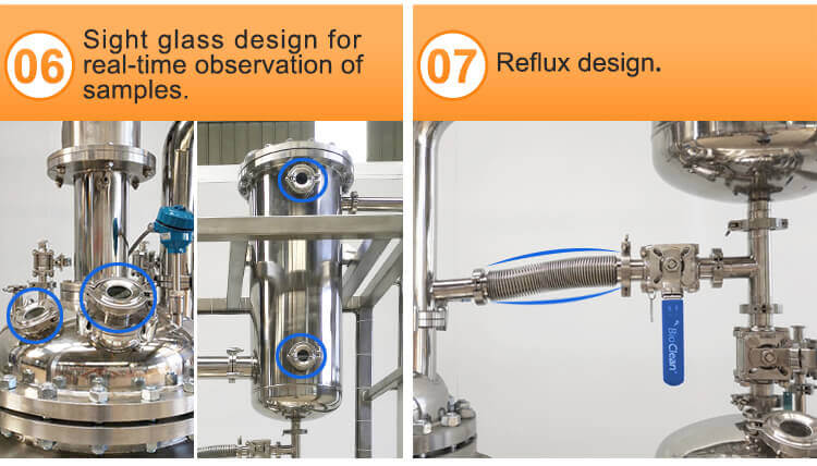 sight glass reactor