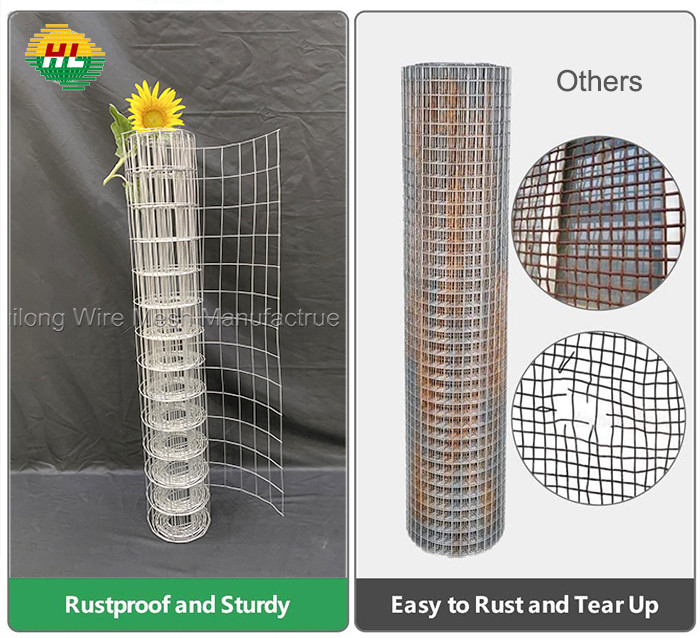 1" X 1" Galvanized Welded Wire Mesh Roll For Stock Farming And Culture
