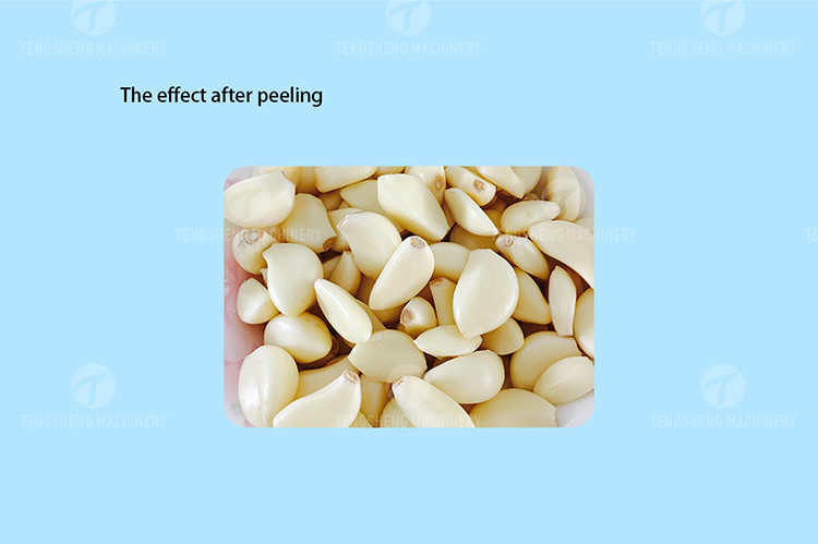 2.2KW Garlic Processing Machine Skin Removing Garlic Peeler