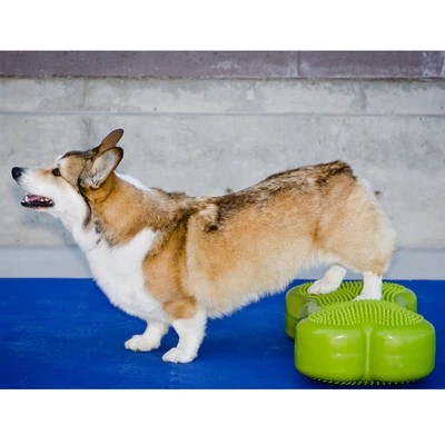 Pvc CanineGym dog balance massage training bone shape plane