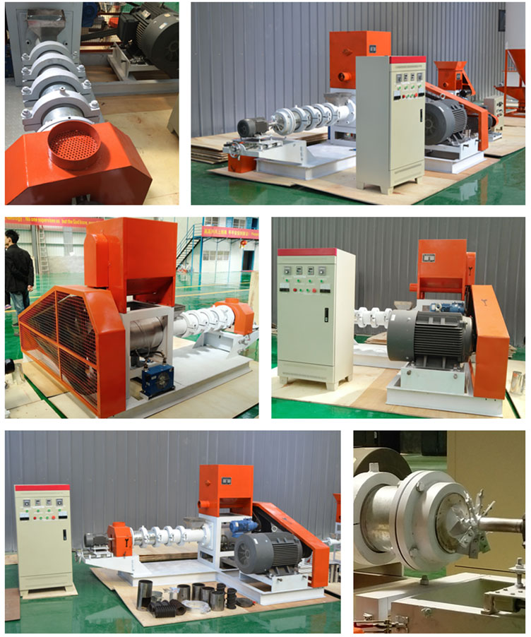 fish feed extruder