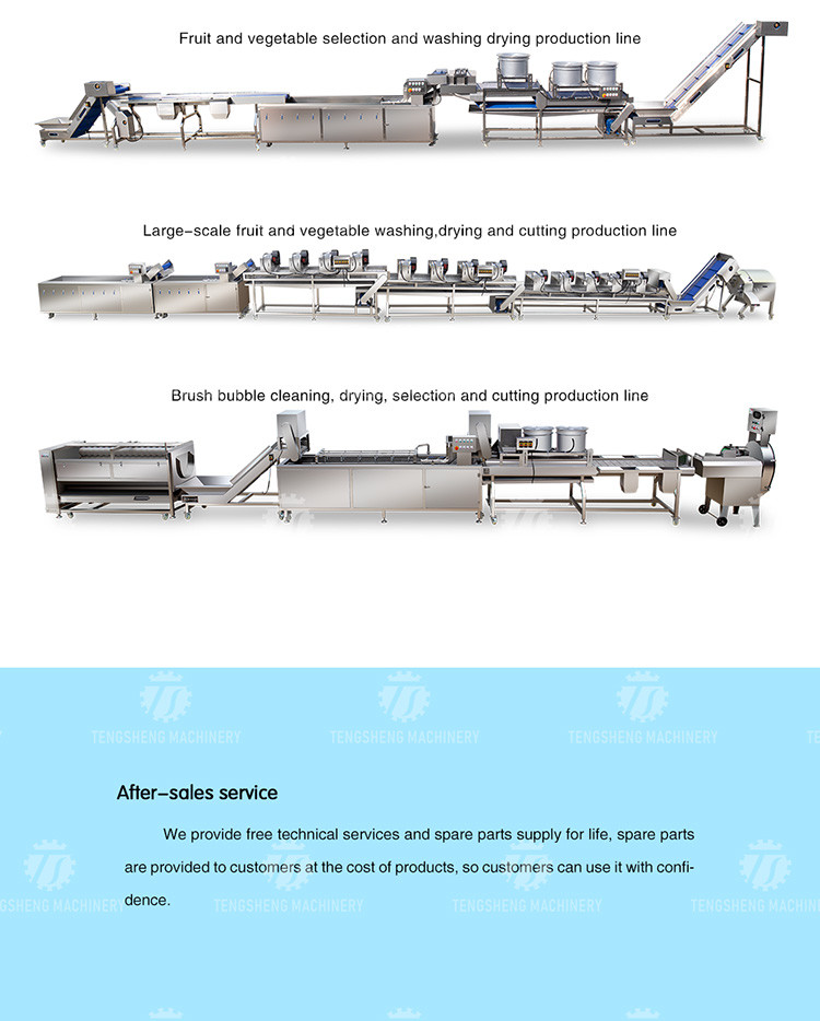 Stainless Steel Vegetable Processing Machine 1.1KW Fruit Cutting Halt Machine