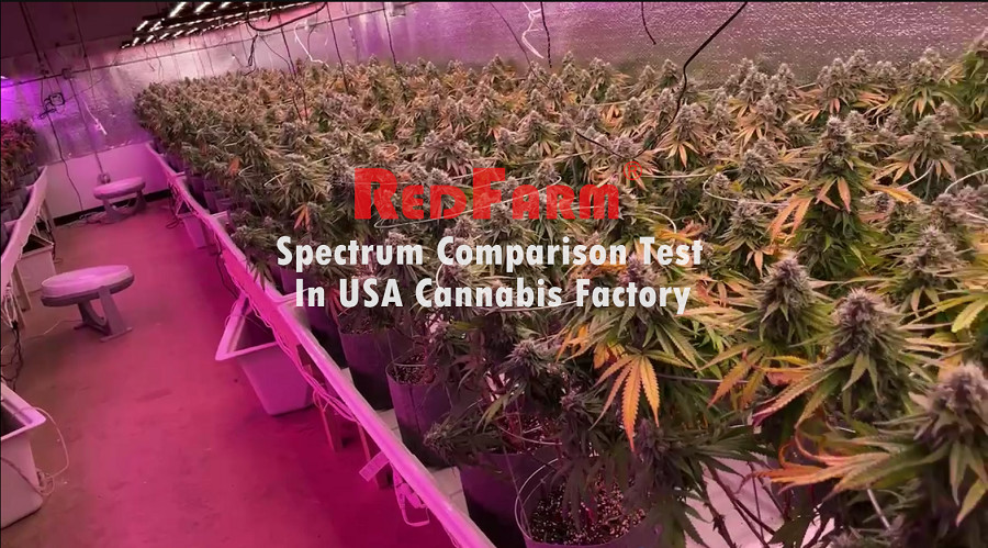 indoor 320watt Samsung LM301B Hydroponics Grow Light Osram 660nm