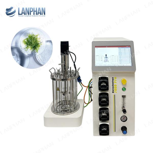 Quality 5l Animal Cell Culture Bioreactor Autoclavable Glass Bioreactor Microbial Fermenter for sale
