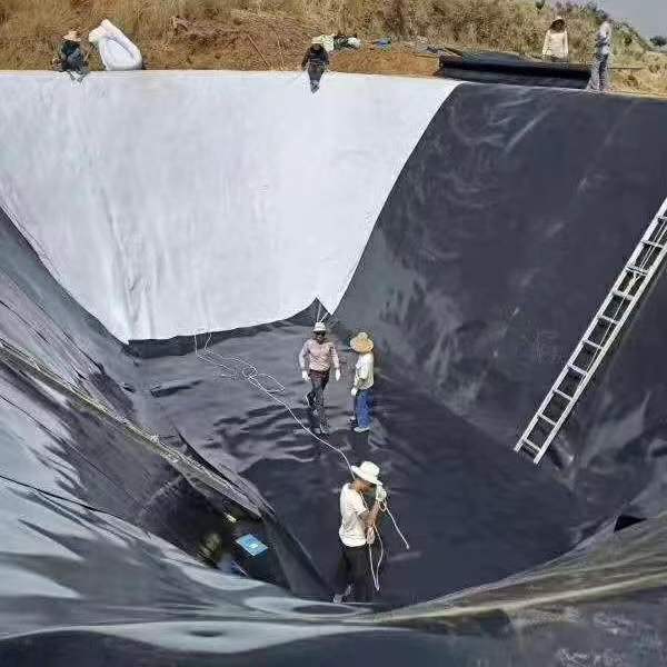 Industrial Design Style 1mm 0.8mm Biodigester Geomembrane for Fish Farm Pond Liner