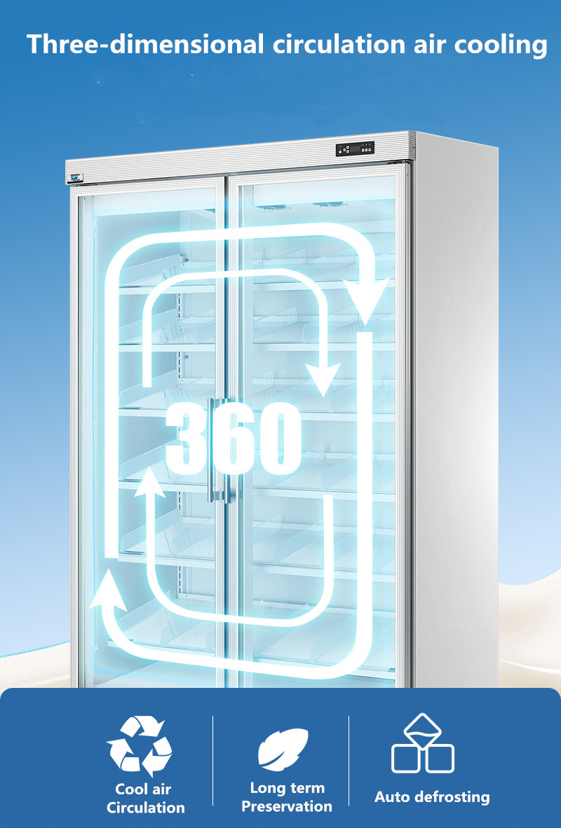 Arsenbo Antiwear Double Door Glass Fridge , Electric Supermarket Display Fridges