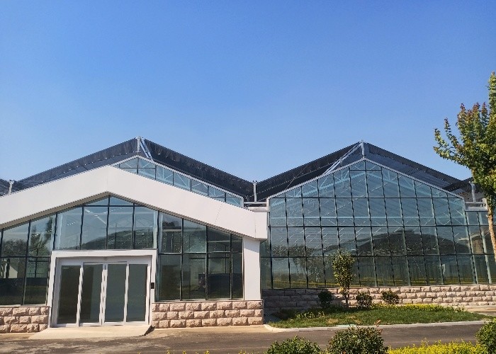 10x8 20 X 40 Big Span Venlo Multi Span Glass Greenhouse Growing Vegetable Show For Exhibition Hall