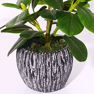 fake plants indoor