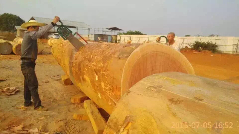 DS2000 Double Circular Sawmill 2000mm Electric Swing Blade Sawmill