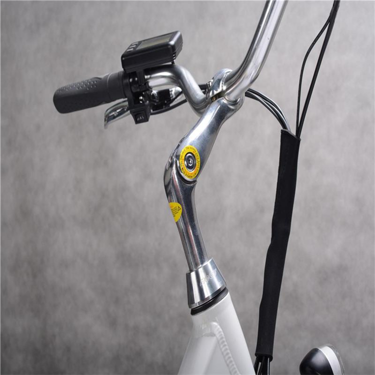 200 Watt 12 Inch Electric Bike Portable Battery 300 Lb Weight Limit 30 Km/H