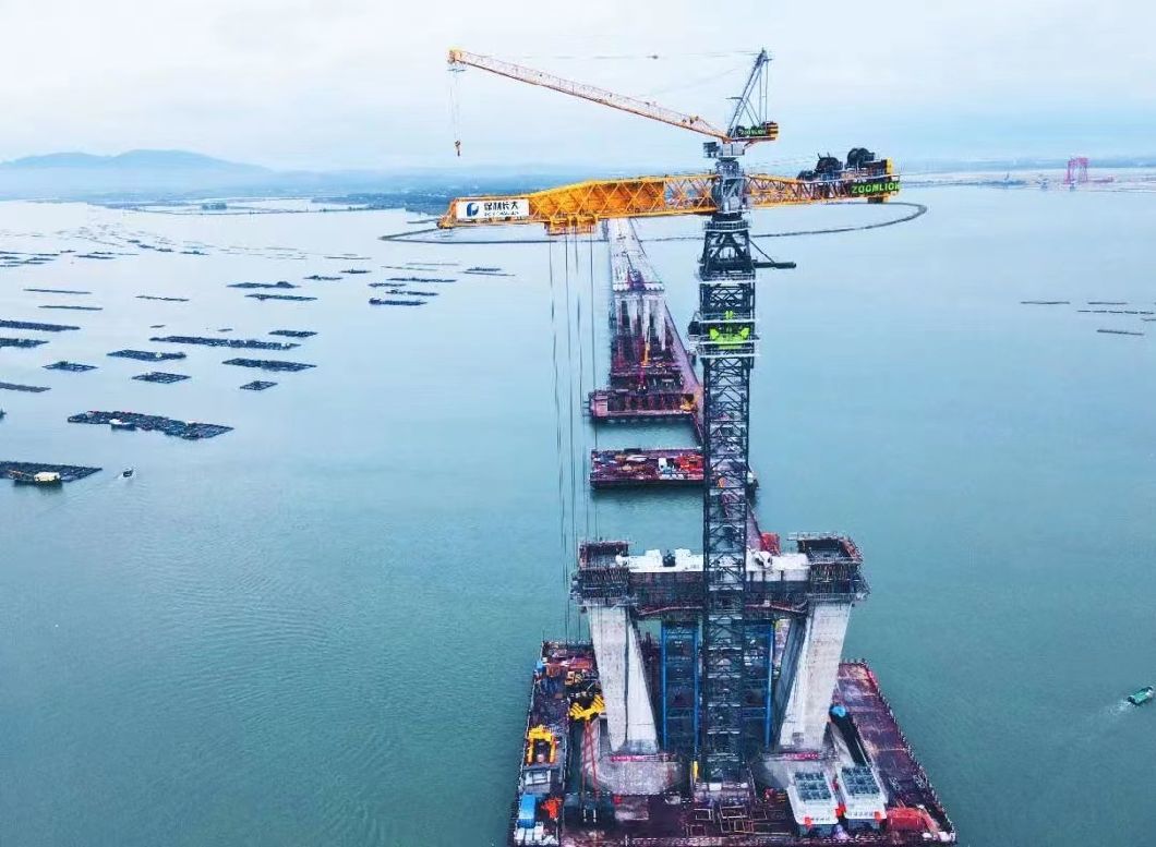 Zoomlion Heavy Industry Tower Crane (6013-6) for Sale, Maximum Boom Tip Lifting 1.3 Tons