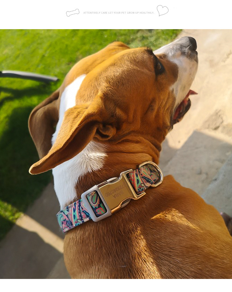 Beautiful Pattern Adjustable Nylon Collar Customized Color Pet Dog Accessories