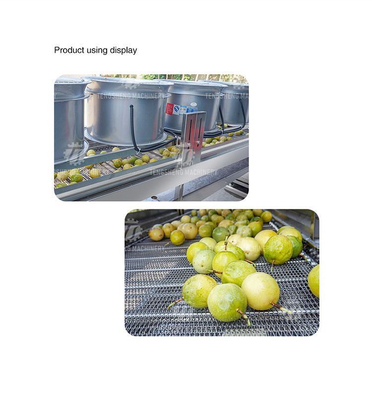 350KG Vegetable drain air drying machine stainless steel fruit and vegetable air drying complete equipment parallel type