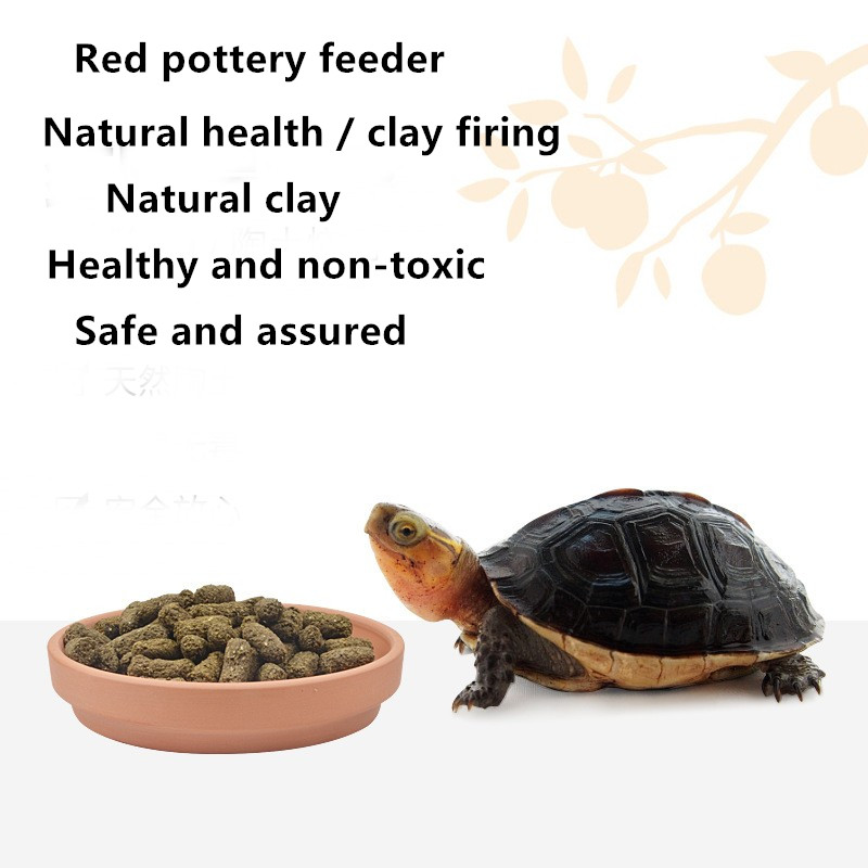 Climbing Pet Turtle Dinner Plate Guard Frog Lizard Ceramic Food Plate Drinking Plate