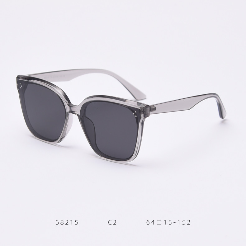 Women Retro Big Frame Square TR90 Sunglasses Trendy Polarized Men