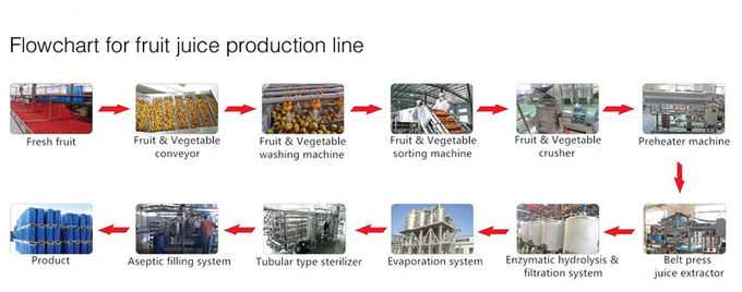 CE Certificated Mango Juice Sterilizing Machine / Plate / Equipment