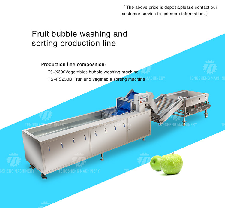 3KW 50HZ Fruit And Vegetable Processing Line Washing Sorting Machine