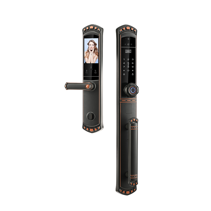 Standard Mortise Smart Door Lock Using Face Recognition Black Bronze