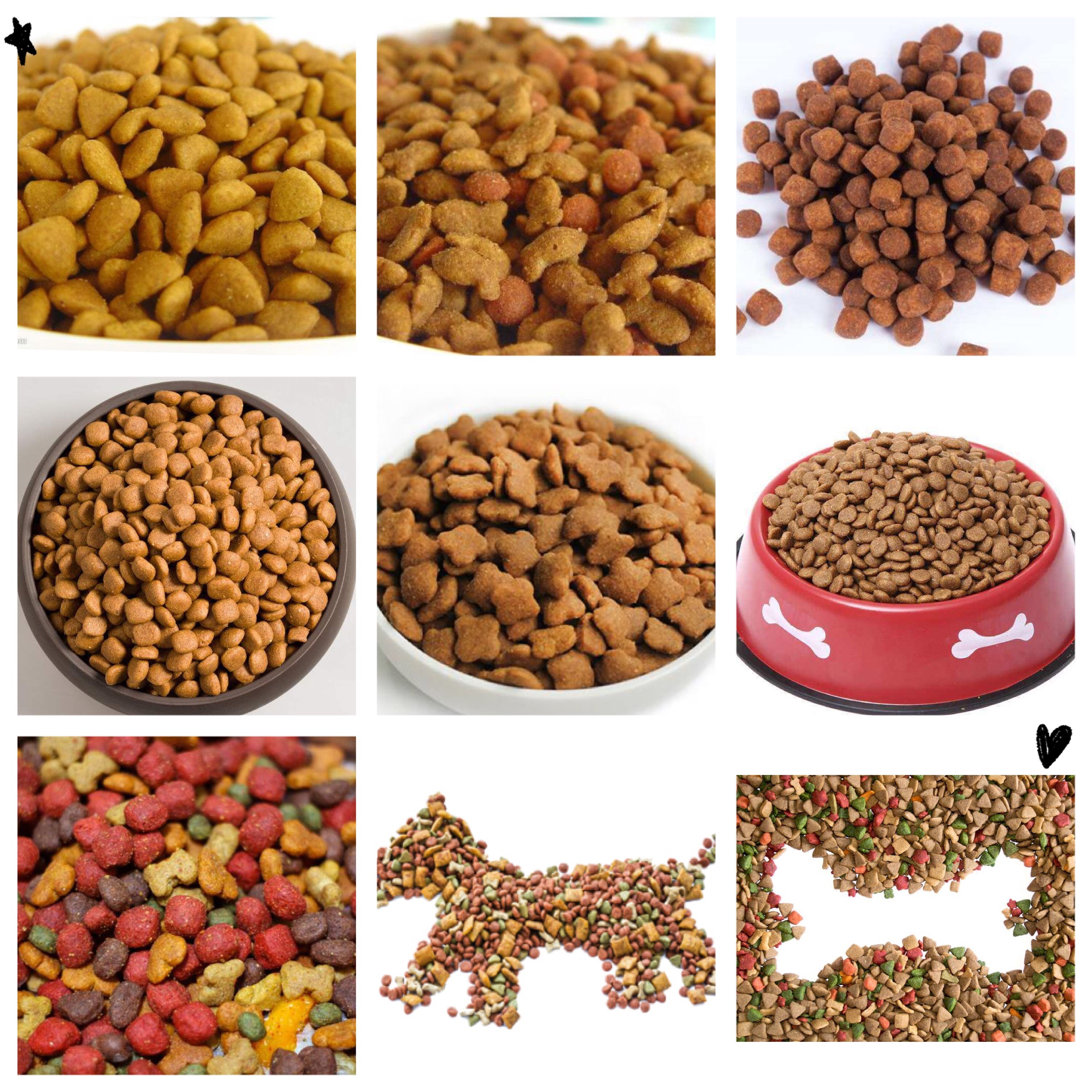 Automatic Professional Dog Food Extruder 3-5 Worker Operation