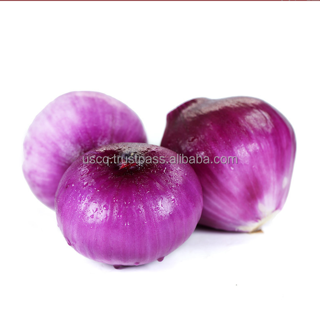 Green Onion Skin Remover Onion And Potato Peeler Onion Skin Paper Onion Skin Peeling Machine Onion Peeler