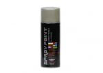 High Gloss Lacquer Spray Paint , 100% Acrylic Resin Matte Grey Spray Paint For