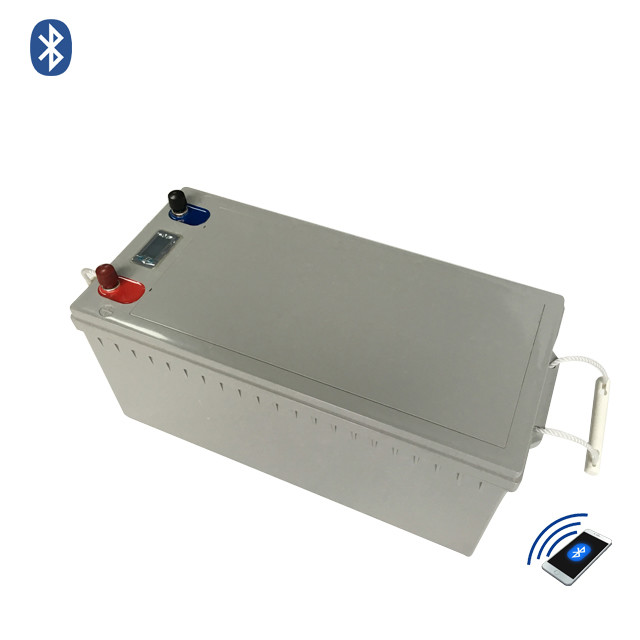 MSDS 200AH 12V Battery Pack Lithium Iron Phosphate Battery With Bluetooth