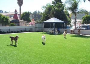 Buy cheap 13500 Dtex Balcony Home Roof Natural Looking Artificial Grass For Dogs product