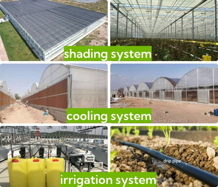 8mm 10mm Commercial Polycarbonate Greenhouse With Shading System Irrigation System