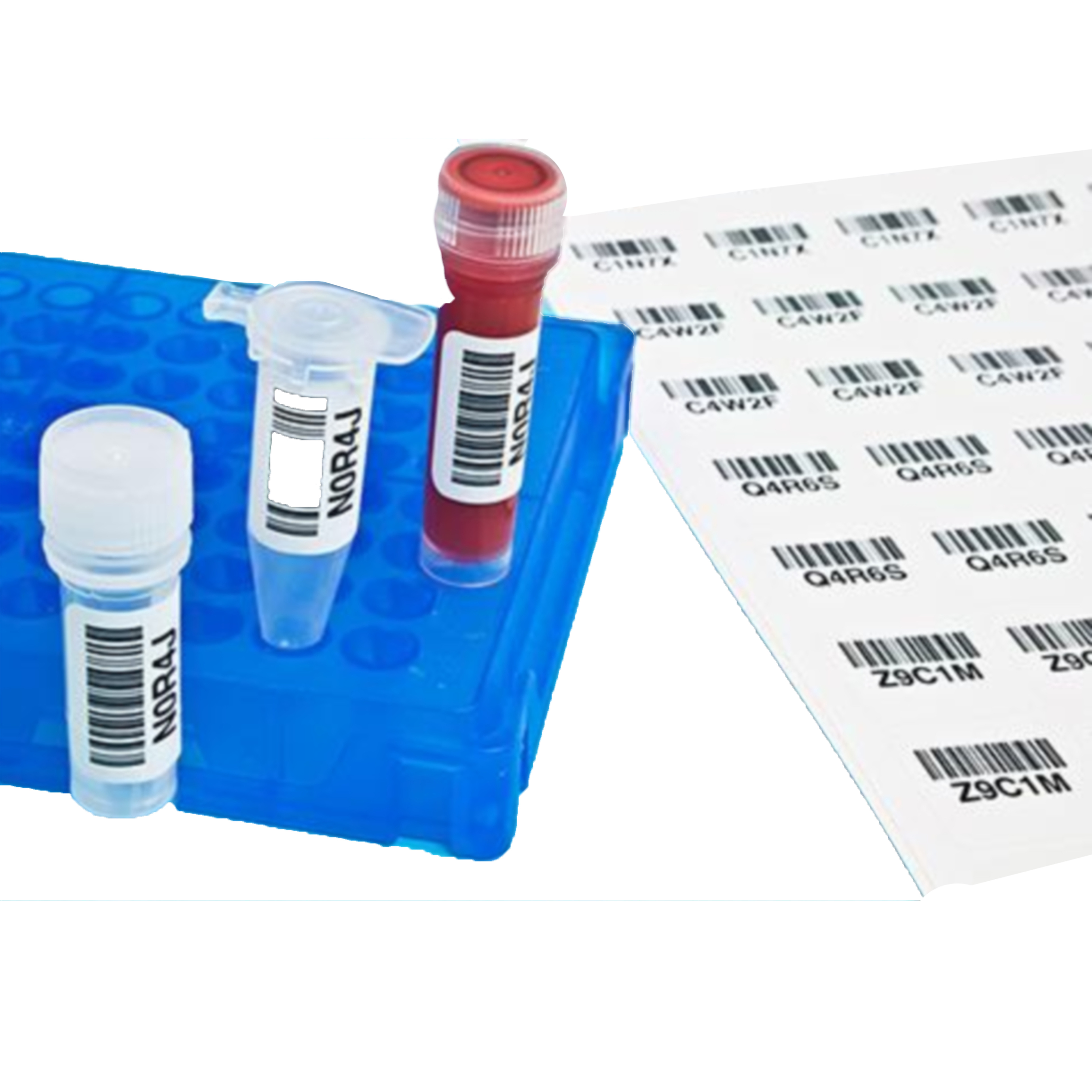 Private Printed Barcode Labels Adhesive TVS Paper Barcode Label