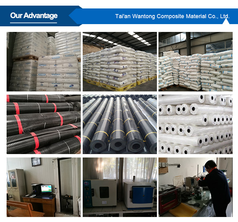 Roof Drainage Waterproof Membrane Drain Sheet with CE/ISO9001/ISO14001 Certifications