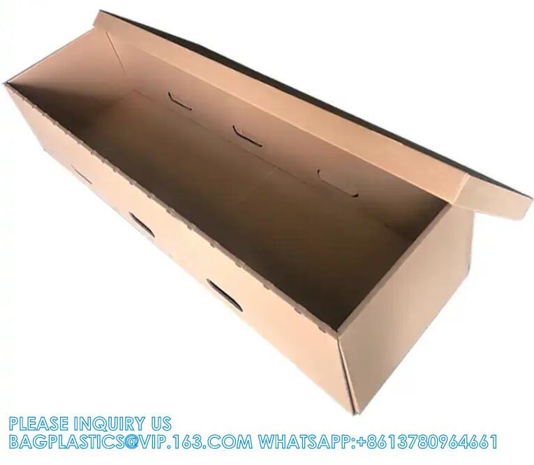 Cardboard Cremation Casket Rental Insert Paper Coffin For Cremation Coffins Funeral Caskets