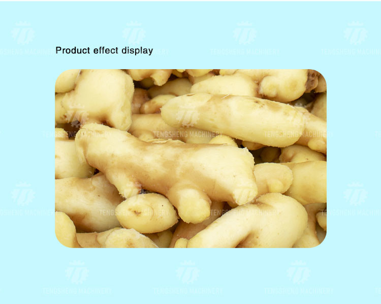 240KG Commercial vegetable and vegetable washing machine bubble washing machine manufacturers supply washing machine