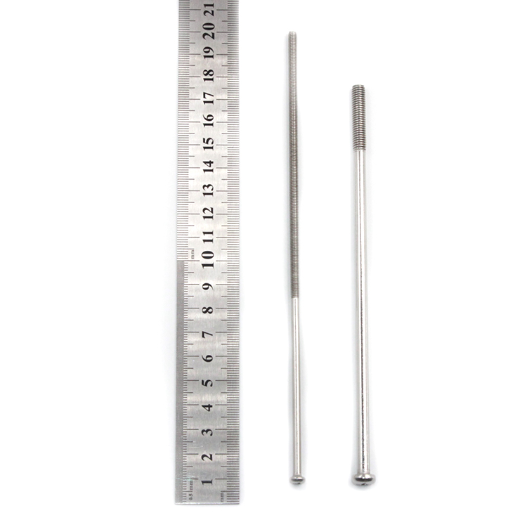 Customizable Size M8 Pan Head Stainless Steel Machine Screw 100mm Elongated