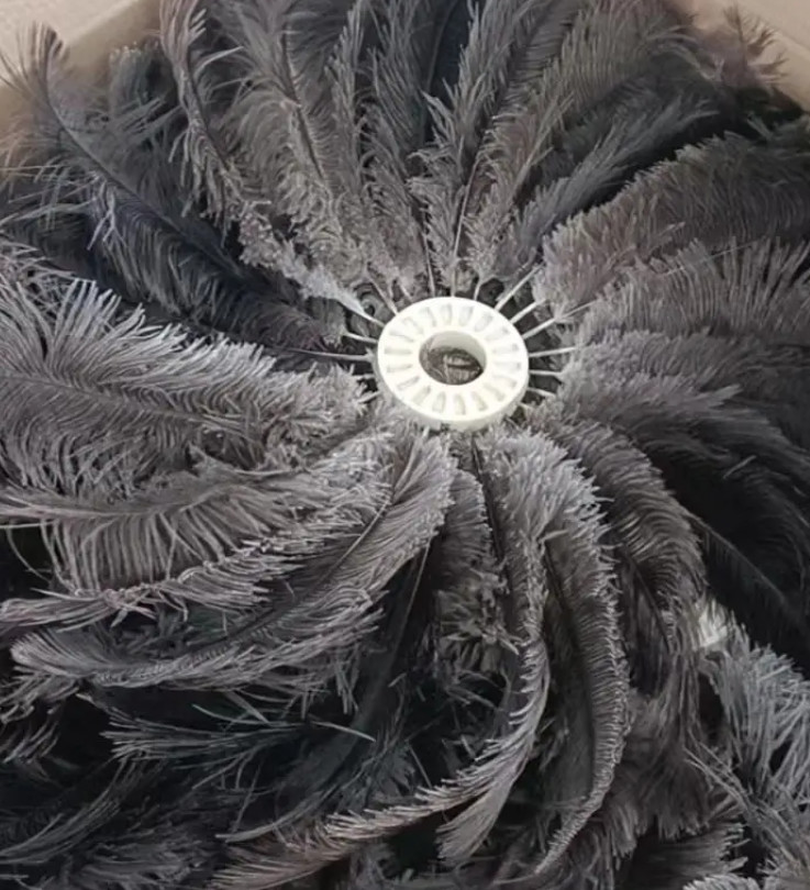 Ostrich Feathers Circular Brush for Car Dust Collecting
