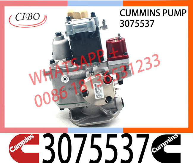 Genuine Cummins Engine PTG-EFC Fuel Injection Pump 3075537 fuel pump 3075537 3636943