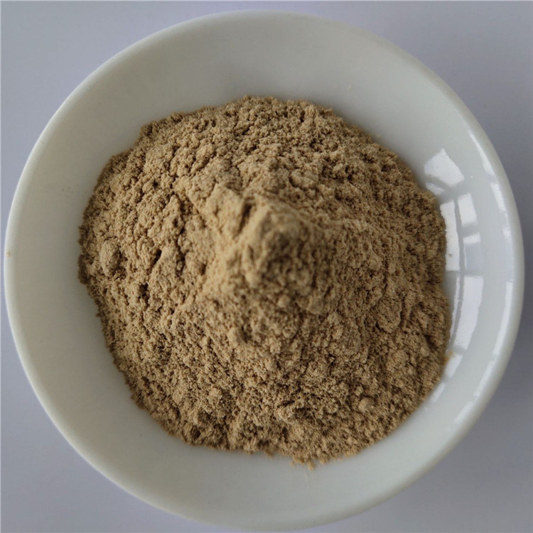 Radix Polygoni Mulitiflori P.E From China Factory